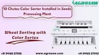 10 Chutes Color Sorter Installed in Seed Processing Plant | Wheat Sorting  with Color Sortex.