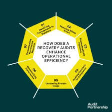 Image result for Recovery Audit Contractor