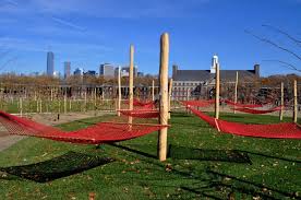 See all things to do. Governors Island Park In New York City Offers Hammocks But Close Download Scientific Diagram