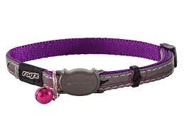 Hosecurity digital pet collar dvr camera. Vet Recommended Supplies To Have When You Bring A New Cat Home