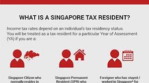 This guide provide information about singapore income tax for foreigners and local. Singapore Personal Income Tax Rates Infographics