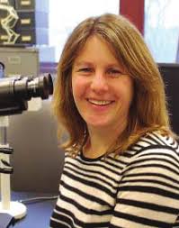 2018 ASVCP Business Meeting Book