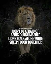 Sometimes You Just Have Keep Your Eyes Open And Your Mouth Shut Warrior Quotes Lion Quotes Meaningful Quotes