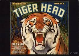 Tiger Head Orange Crate Label Washington Navels Fruit Labels Orange Crate Labels Crate Label