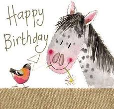 On your birthday, i want to remember with your unique moments, moments full of joy and above all celebrate another year of life. Alex Clark Happy Birthday Pretty Pony Karte Amazon De Burobedarf Schreibwaren