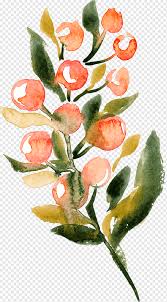 This png file is about roses ,emerald ,flowers ,original ,orb ,green. Round Red Fruits Illustration Watercolor Painting Green Emerald Green Leaves Vintage Watercolor Watercolor Leaves Flower Arranging Food Png Pngwing