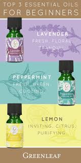 Top 3 Essential Oils For Beginners Essential Oils For Migraines Essential Oils For Headaches Essential Oils