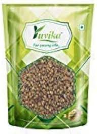 Image result for Phyllanthus maderaspatensis