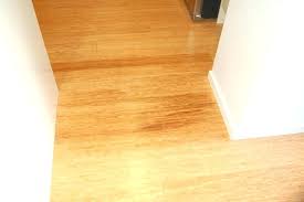 Bamboo Laminate Flooring Pros And Cons Or Image Of Home