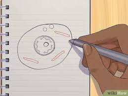 Gambar di bawah merupakan skema dari gambar sel hewan dan sel tumbuhan beserta sel memiliki. Cara Menggambar Sel Hewan 11 Langkah Dengan Gambar Wikihow