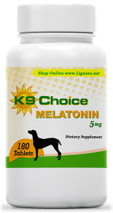 If your pup is anxious, you might also want to consider a dog anxiety vest or a dog anxiety wrap. K9 Choice 5 Mg Melatonin For Dogs For Sale Online Ebay