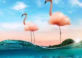 Creative Business Solutions | Adobe Creative Cloud For Teams