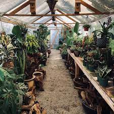 Fullerton (6) garden grove (1) gardena (5) glendale (6) granada hills (2) hacienda heights (1) hawthorne (3) hayward (34) hermosa beach (1) hollywood (6) huntington beach (2) inglewood (5) inland empire (33) irvine (19) la habra (2) la. Plants Places Travel Guide Work Hard Plant Hard