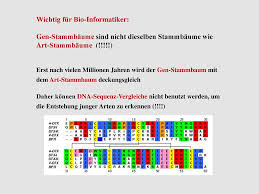 Sie können festlegen, mit welcher person der stammbaum beginnt. Monophylie Und Stammbaum Ppt Herunterladen