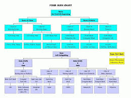 Fiber Burn Test Flow Chart A Useful Tool To Have Around