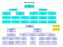 fiber burn test flow chart a useful tool to have around