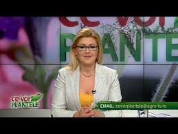 Rodica culcer, acuzata ca a premeditat discreditarea lui paunescu. Ce Vor Plantele Cristina Ghibu 2019 01 17 Partea1 Youtube