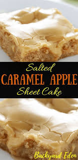 Salted Caramel Apple Sheet Cake Recipe Backyard Eden Sheet Cake Recipes Apple Sheet Cake Recipe Desserts