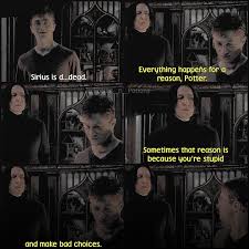 Quickmeme.com best snape harry potter memes. The Prince S Knight