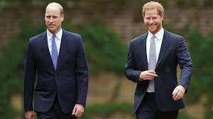 Prince Harry's interview about royal family still a 'very bitter pill to  swallow' for Prince William: expert | Fox News