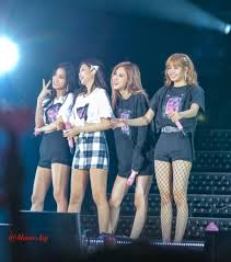 Blackpink Japan Arena Tour Chiba 2018 Blackpink Black Pink Black Pink Kpop