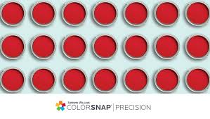 colorsnap precision for homeowners sherwin williams