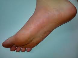 Gather your things but there's nowhere to go. Foot Wikipedia