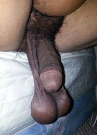 I got a new cute cokc cage part ii. Black Sex Categorybig Cock Photo