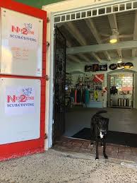 Croix in the us virgin islands. Deco The Dive Dog Waiting To Greet Customers Picture Of Nep2une Scuba Diving St Croix Tripadvisor