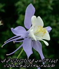 Pin On Urdu Quotes