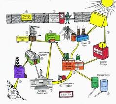 The cytoplasm in an animal cell includes salts, sugars, amino acids, carbohydrates and nucleotides. Cell City Assignment David Bird Providence High Cell City Cell City Project Cells Project
