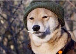 images?q=tbn:ANd9GcQt4LGUovL59exZmb4xA4a