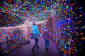 Sunday through thursday and 9 a.m. Zip To The Zoo On Trimet To Enjoy The Festive Holiday Zoolights Trimet News