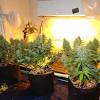 Many led grow lights labeled 600 watts consume about 400 watts when operated at full power. 3