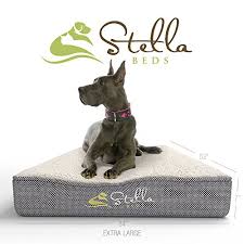 5 out of 5 stars. 7 Best Memory Foam Dog Beds The Comfiest Bed For Your Canine