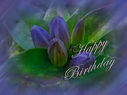 Happy Birthday Greeting Card Closed Gentian Bottle Gentian Photograph By Mother Nature Balloons and colorful inscryption on the black background. happy birthday greeting card closed gentian bottle gentian by mother nature