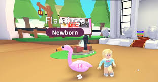 See all adopt me codes in one single list and redeem any in your roblox account to get free legendary pets, money, stars and other great rewards. Adopt Me How Rare Is The Flamingo Pet Caffeinatedgamer