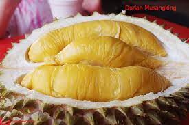 Jangan mengaku pecinta durian apabila belum pernah mencicipi durian musang king. Durian Unggul Negeri Jiran Bebeja Com