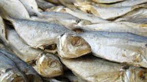 We did not find results for: Gambar Ikan Asin Gabus Peda Belah Dan Biasa Dari Jenis Ikan Kecil Serta Besar