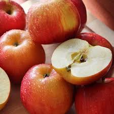 You only need one of these trees. Apple Family Apple Tree Thompson Morgan