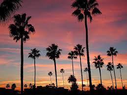 California beach sunset palm trees. Long Beach California Sunset Sunset Pictures Palm Tree Sunset California Sunset