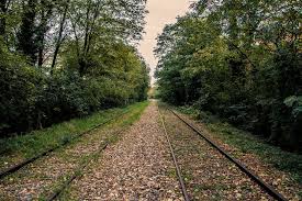 Petite Ceinture De Paris Voie Ferree Paris Passage A Niveau