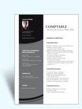 Modele Cv Original Exemple Cv Design Jpg 487 650 Modele Cv Exemple Cv Cv Graphique