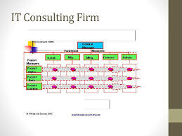Organizational Structure Ppt Video Online Download