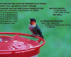 In reality, experts say has no impact on how often the birds will frequent your feeder. 41 Best Homemade Hummingbird Food Ideas Hummingbird Hummingbird Garden Humming Bird Feeders
