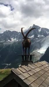 God created human beings with emotions and passions. God I Wish That Were Me Tumblr Backup