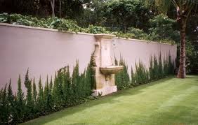 Creeping Fig Backyard Design Google Search Wall Climbing Plants Climbing Plants Vertical Garden