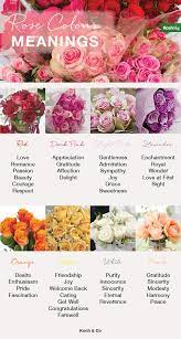 Flower that symbolizes friendship and devotion. What Does Each Colour Rose Mean Rose Color Guide The Koch Blog