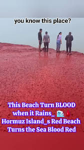 Hormuz Island Red Beach | TikTok