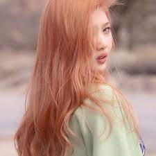 Pin By Vanessa On Obsessao Ruiva Redhead Ginger Copper Auburn Korean Hair Color Peach Hair Aesthetic Hair